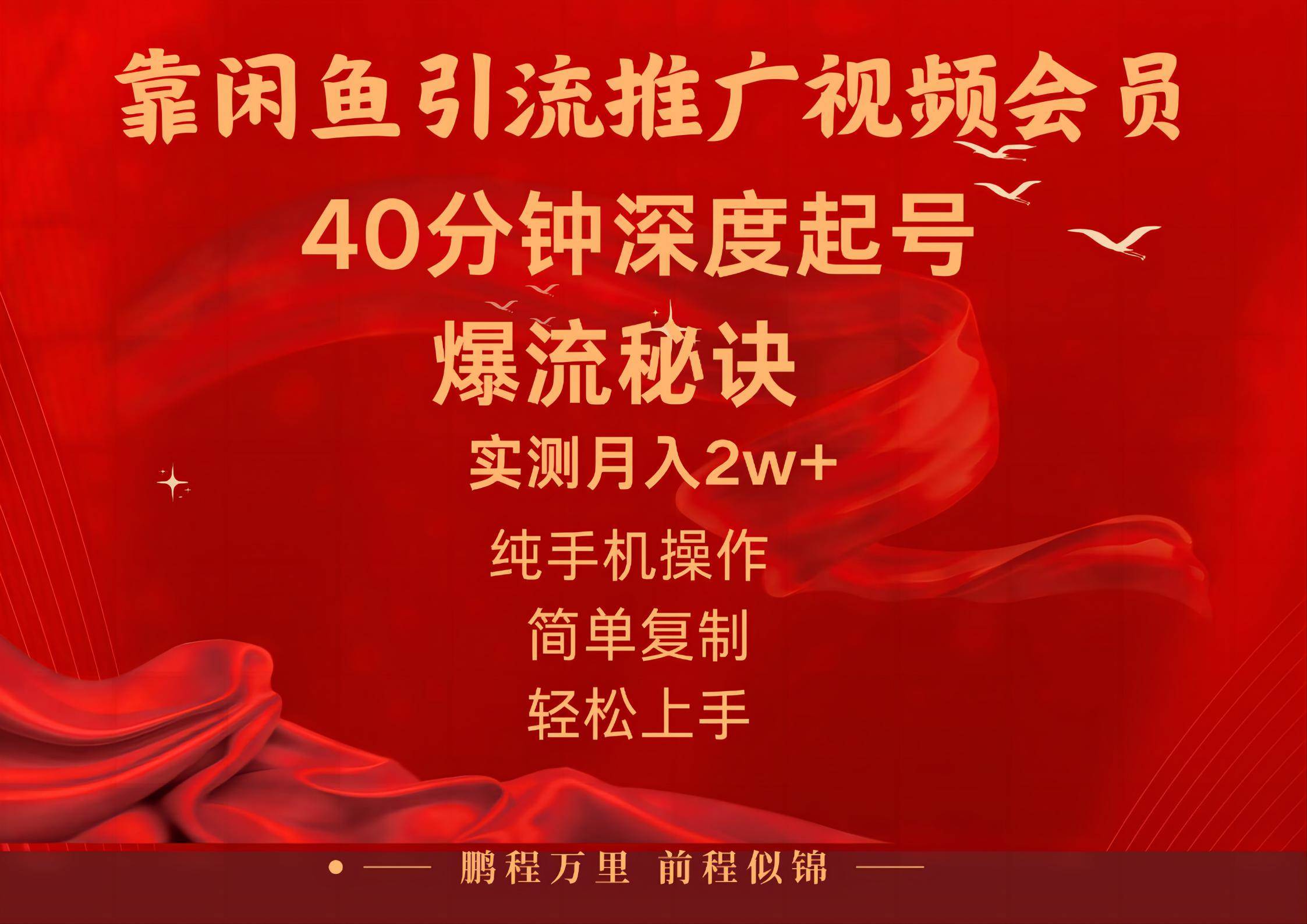 闲鱼暴力引流推广视频会员，能做到日入2W+，操作简单-天下副业