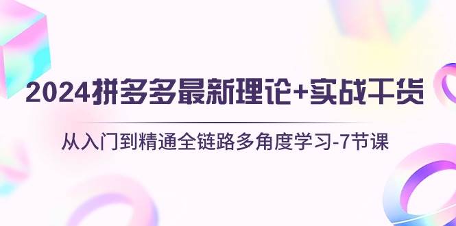 2024拼多多 最新理论+实战干货，从入门到精通全链路多角度学习-7节课-天下副业