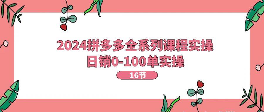 2024拼多多全系列课程实操，日销0-100单实操【16节课】-天下副业