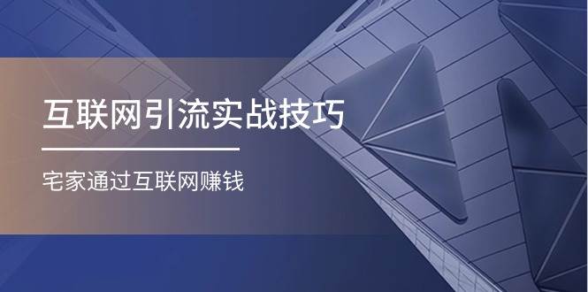 互联网引流实操技巧(适合微商，吸引宝妈)，宅家通过互联网赚钱（17节）-天下副业