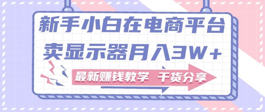 新手小白如何做到在电商平台卖显示器月入3W+，最新赚钱教学干货分享-天下副业
