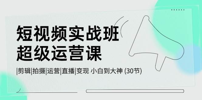 短视频实战班-超级运营课，|剪辑|拍摄|运营|直播|变现 小白到大神 (30节)-天下副业