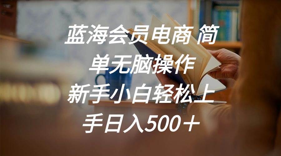 蓝海会员电商 简单无脑操作 新手小白轻松上手日入500＋-天下副业