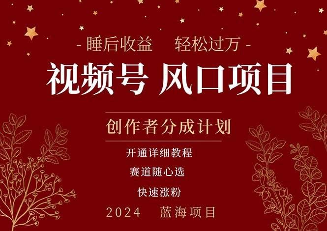 拥有睡眠收益的微信视频号大风口项目，轻松月入过万+，多赛道选择，可…-天下副业