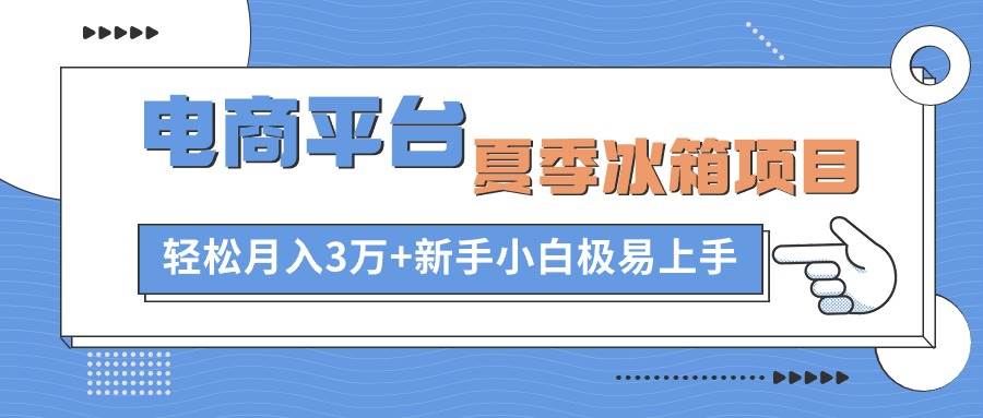 电商平台夏季冰箱项目，轻松月入3万+，新手小白极易上手-天下副业