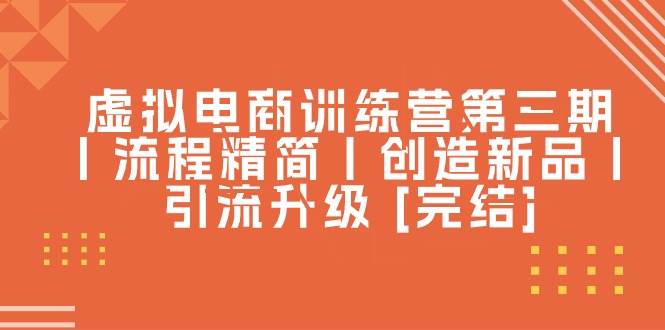虚拟电商训练营第三期丨流程精简丨创造新品丨引流升级 [完结]-天下副业