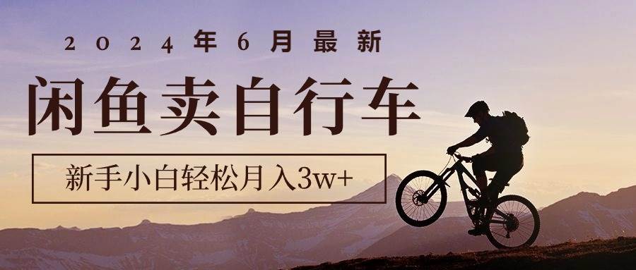 2024年6月最新闲鱼卖自行车，新手小白轻松月入3w+项目-天下副业