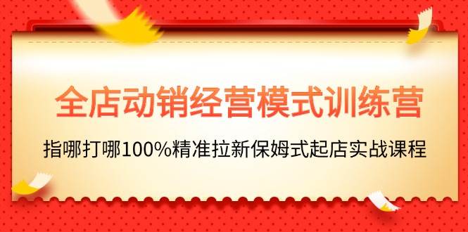 全店动销-经营模式训练营，指哪打哪100%精准拉新保姆式起店实战课程-天下副业