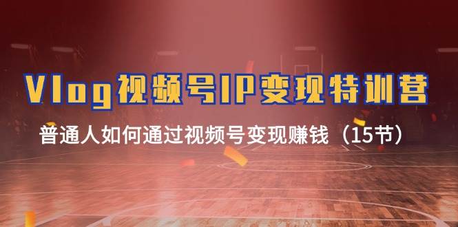 Vlog 视频号IP变现特训营，普通人如何通过视频号变现赚钱（15节）-天下副业