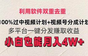 利用软件双重去重,100%过中视频+视频号分成计划小白也可以月入4W+-天下副业