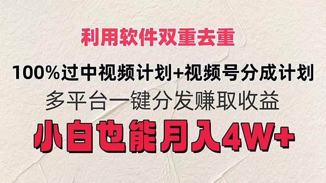 利用软件双重去重，100%过中视频+视频号分成计划小白也可以月入4W+-天下副业