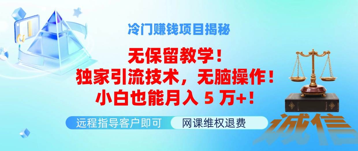 冷门赚钱项目无保留教学！独家引流技术，无脑操作！小白也能月入5万+！-天下副业