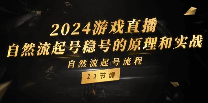 2024游戏直播-自然流起号稳号的原理和实战，自然流起号流程（11节）-天下副业