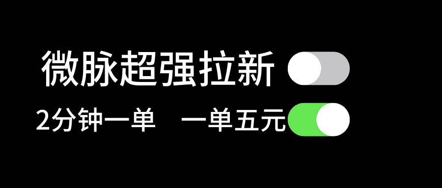 微脉超强拉新， 两分钟1单， 一单利润5块，适合小白-天下副业