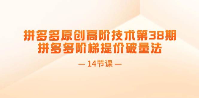 拼多多原创高阶技术第38期，拼多多阶梯提价破量法（14节课）-天下副业
