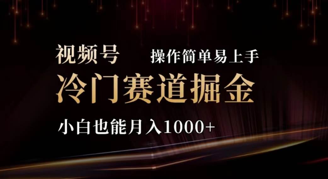 2024视频号冷门赛道掘金，操作简单轻松上手，小白也能月入1000+-天下副业