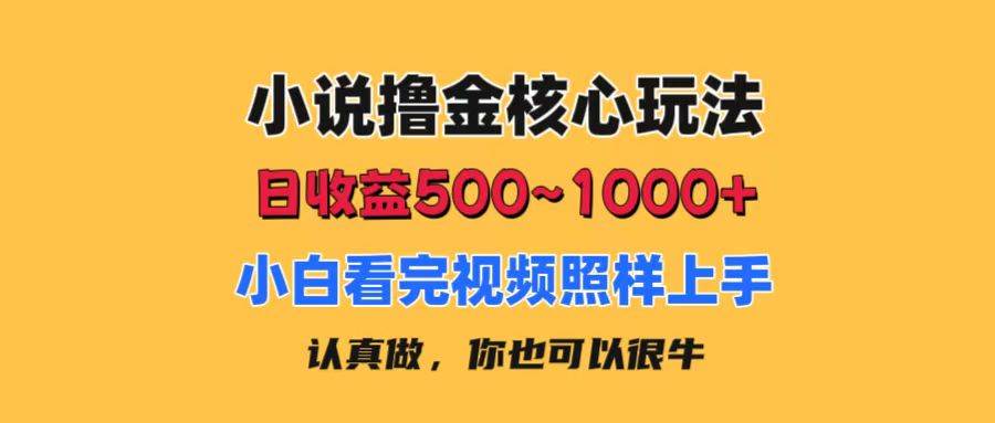 小说撸金核心玩法，日收益500-1000+，小白看完照样上手，0成本有手就行-天下副业