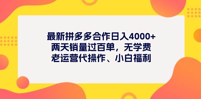 最新拼多多项目日入4000+两天销量过百单，无学费、老运营代操作、小白福利-天下副业
