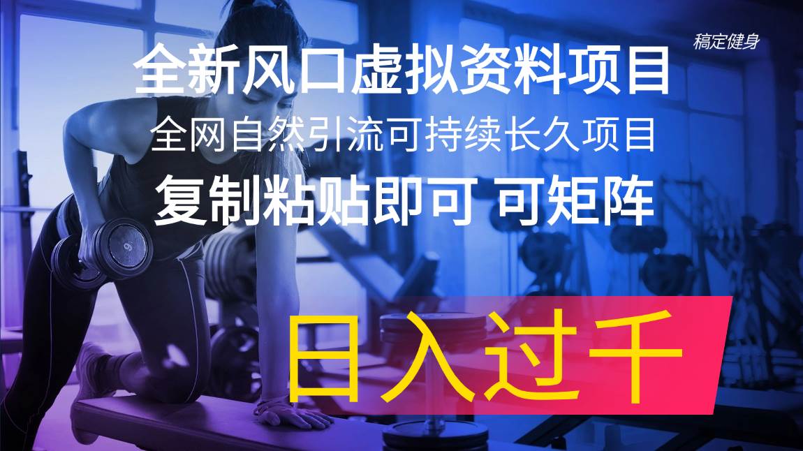 全新风口虚拟资料项目 全网自然引流可持续长久项目 复制粘贴即可可矩阵…-天下副业