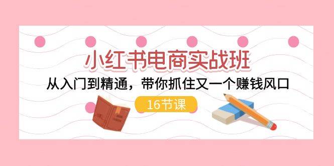 小红书电商实战班，从入门到精通，带你抓住又一个赚钱风口（16节）-天下副业
