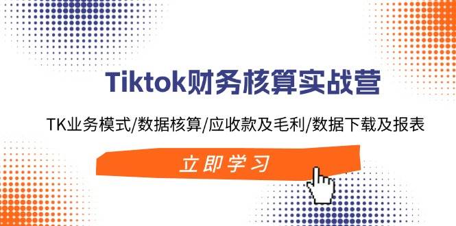 Tiktok财务核算实战营：TK业务模式/数据核算/应收款及毛利/数据下载及报表-天下副业