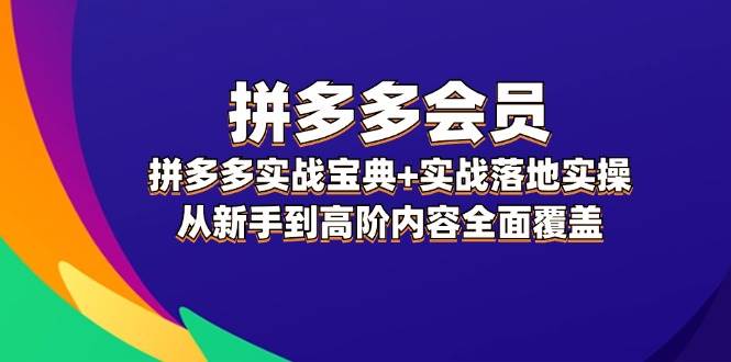 拼多多 会员，拼多多实战宝典+实战落地实操，从新手到高阶内容全面覆盖-天下副业
