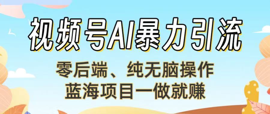 视频号AI暴力引流：零后端、纯无脑操作，蓝海项目一做就赚！【下面那个链接失效了】-天下副业