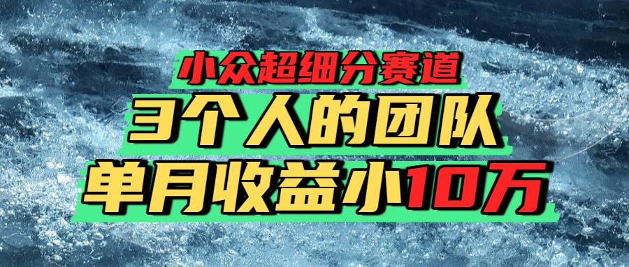 小众超细分赛道，一年百万利润的盘子！-天下副业