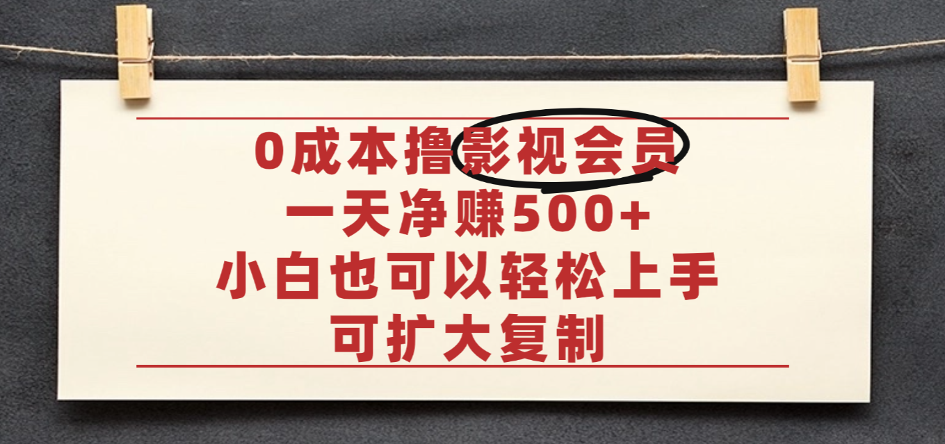 亲测,0成本可批量操作,靠卖影视会员实测月入30000+-天下副业