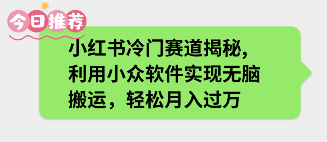 小红书冷门赛道揭秘,利用小众软件实现无脑搬运，轻松月入过万-天下副业