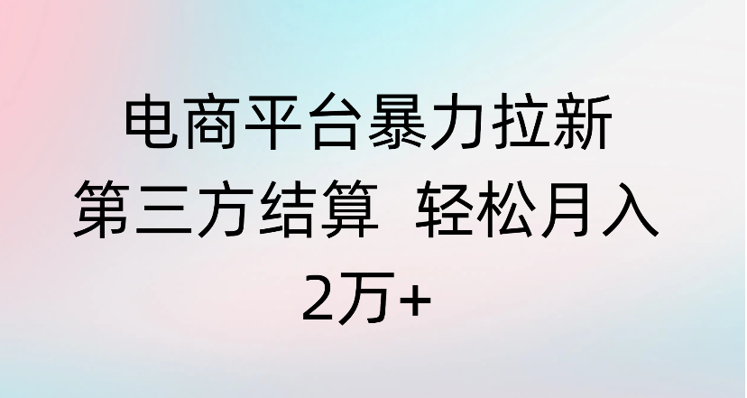 电商平台暴力拉新第三方结算 轻松月入2万+-天下副业