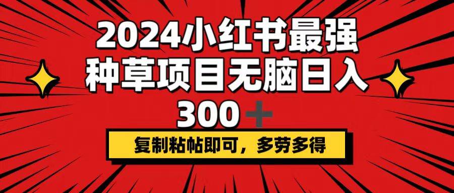 2024小红书最强种草项目，无脑日入300+，复制粘帖即可，多劳多得-天下副业
