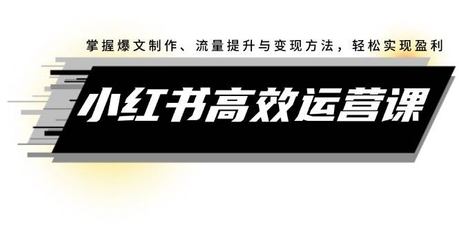 小红书高效运营课：掌握爆文制作、流量提升与变现方法，轻松实现盈利-天下副业